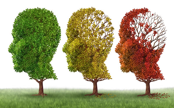 Cómo inicia el Alzheimer